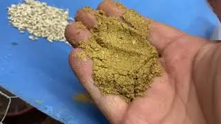How to make a high protein chicken and quail feed cheap