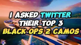 I Asked Twitter Their Top 3 Black Ops 2 Camos!!! @Kazpeh