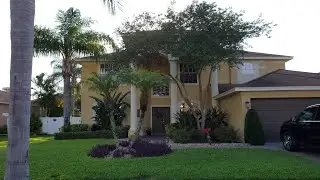 Why Do I Need To Prune My Florida Palm Trees?