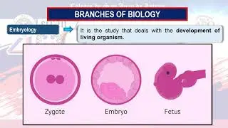 Branches of Biology