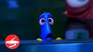 Do You Have Memory Loss Like Dory? - Memory Facts