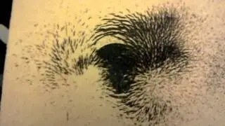 Linee di forza campo magnetico