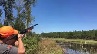 Pheasant Tower shoot- Piney Woods Hunting Lodge, Eufaula, Alabama