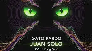 Visuales Gato Pardo Juan y Dramix