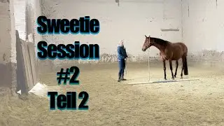 Sweetie Session #2 Teil 2 -  spielerischer Beziehungsaufbau | Pferdesprache lernen
