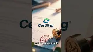 &iquest;D&oacute;nde obtener traducciones certificadas?