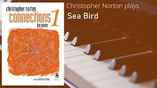 Connections 1 Sea Bird