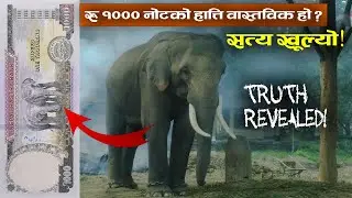 The Elephant on Nepal&rsquo;s 1000 Rupee Note 🐘 | Hidden Facts & Real Story!