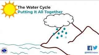 Weather Ready Wednesday - The Water Cycle