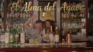 El Alma del Agave: Un Viaje al Mundo del Mezcal