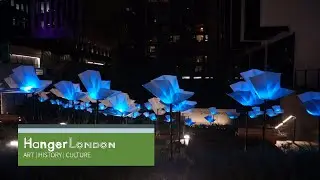 Salters Garden light show, Salters Livery Company
