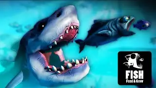 TAKDIR IKAN PENGUASA LAUTAN! Feed and Grow: Fish GAMEPLAY #1