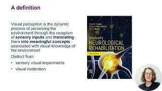 What is Visual Perception?
