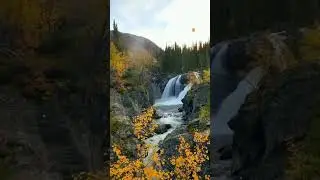 Soothing Water Sounds to Fall Asleep Fast #deepsleep #naturalsounds #shorts