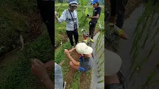 #microfishing #mancingliar #mancingleleliar #short #shortvideo