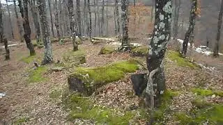 stećci
