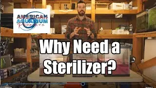 Why Do I Need a Aquarium or Pond UV sterilizer?