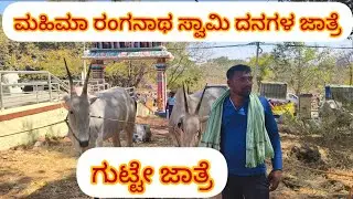 ಗುಟ್ಟೇ ಜಾತ್ರೆ!ಈ ಜಾತ್ರೆಲಿ ಇವೆ ದೊಡ್ಡ ಹೋರಿಗಳು/ಹೇಗಿದಾವೆ ನೀವೇ ನೋಡಿ.