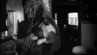 Towncats