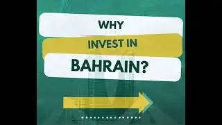 Top Business Opportunities