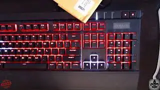 DS Scratchers Live Stream