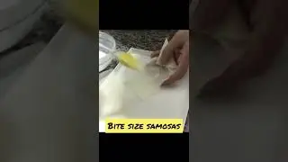 Bite size samosas #daarcheeni #samosafoldingtechniques #bitesize #fingerfoods #samosatips