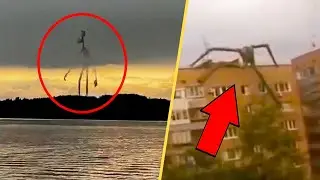 Real-Life Evidence of Mythical Creatures' Existence