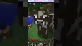 There Are Deer! 🦌 - Modded #Minecraft #FunCraft 🌈