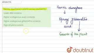 Concavalin A is  | 12 | NEET MOCK TEST 4 | BIOLOGY | NTA MOCK TESTS ENGLISH | Doubtnut
