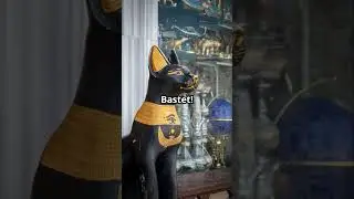 Mind blowing Cat History Facts!