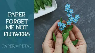 3D Paper Art - Making Forget Me Not (Myosotis) Flowers