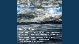 Concerto for Alto Flute and Strings: VI. Epilogue