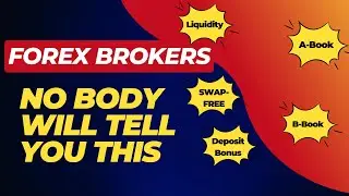 How Forex Brokers Work