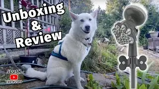 An Honest PawSpa Unboxing and Review