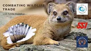 Combating Wildlife Trade in India