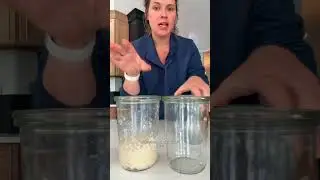 My favorite sourdough starter jars