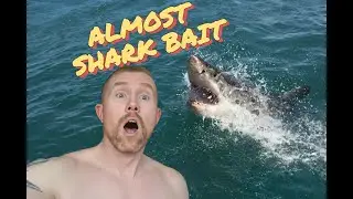 Maui Black Rock 2025 - Almost Shark Bait