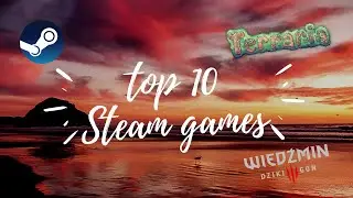 Top 10 | Highest Rated Steam Games | 2020