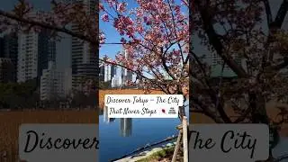 Discover Tokyo &mdash; The City That Never Stops #tokyo  #discovertokyo  #tokyolife #citysightseeing
