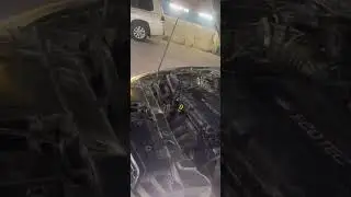 ￼￼ filestine se Aaya Saudi Arab super late 🚗