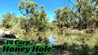 AWESOME CARP FISHING at GOL GOL CREEK | #carpfishing #carpangler #carp