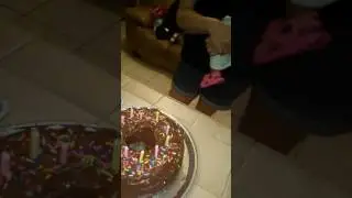 Anettes Bday 2017(2)