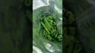 9.5/10#zombie#johnnieguilbert#takis#green???#extremeheat