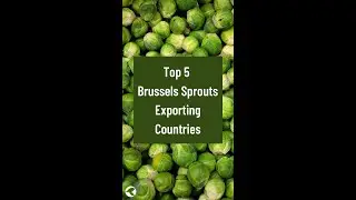 Top 5 Brussels sprouts (Fresh or Chilled) Exporting Countries 2020 #shorts