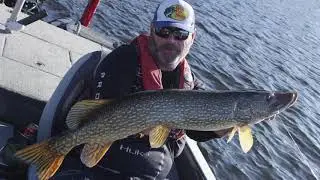 Catching a GIANT Pike on Spinning Gear!