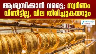 Today's Gold Price Drop | ആശ്വസിക്കാൻ വരട്ടെ; സ്വർണം വീണിട്ടില്ല, വില തിരിച്ചുകയറും