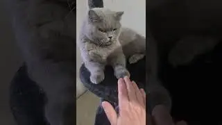 Смотрим на людей🤣😅😂