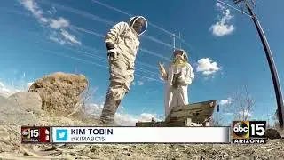 Beekeeper says killer bees are swarming earlier