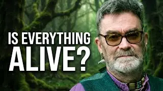 Animism Explained: The Pagan Worldview That Sees All Life as Sacred