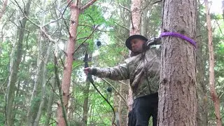 Silver Archery Test Range 3D Course Shoot